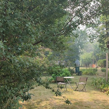 Chalet Dans La Foret....Adorable 1 Bedroom Chalet Surrounded By Woodland Pressignac Eksteriør bilde